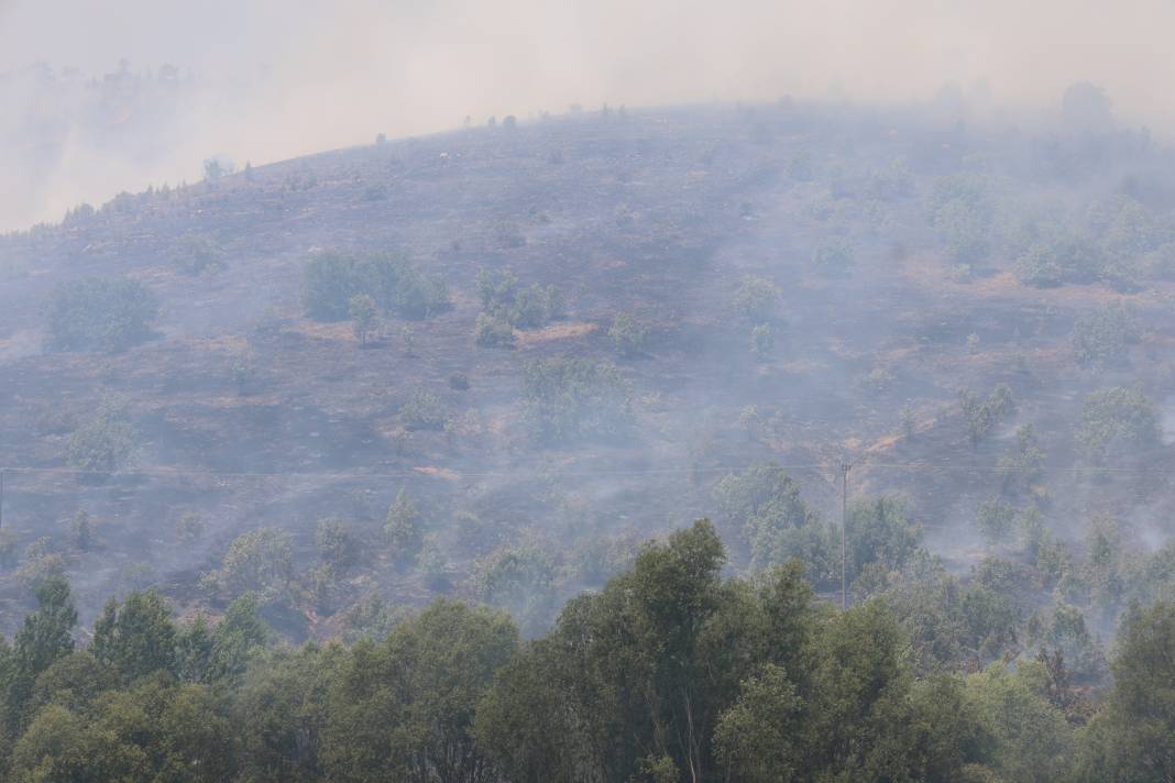 Elazığ'da orman yangını 41